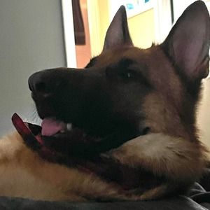 Meet your Posher, Stephen